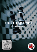 Big Database 2013